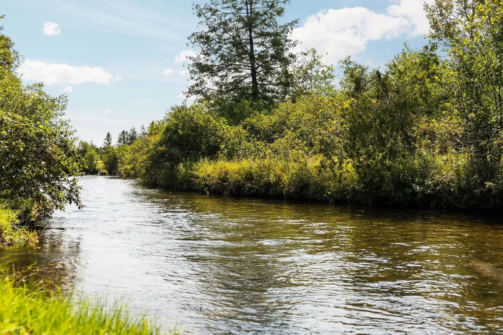 6841 Brown Bridge Road Union Township MI 49696