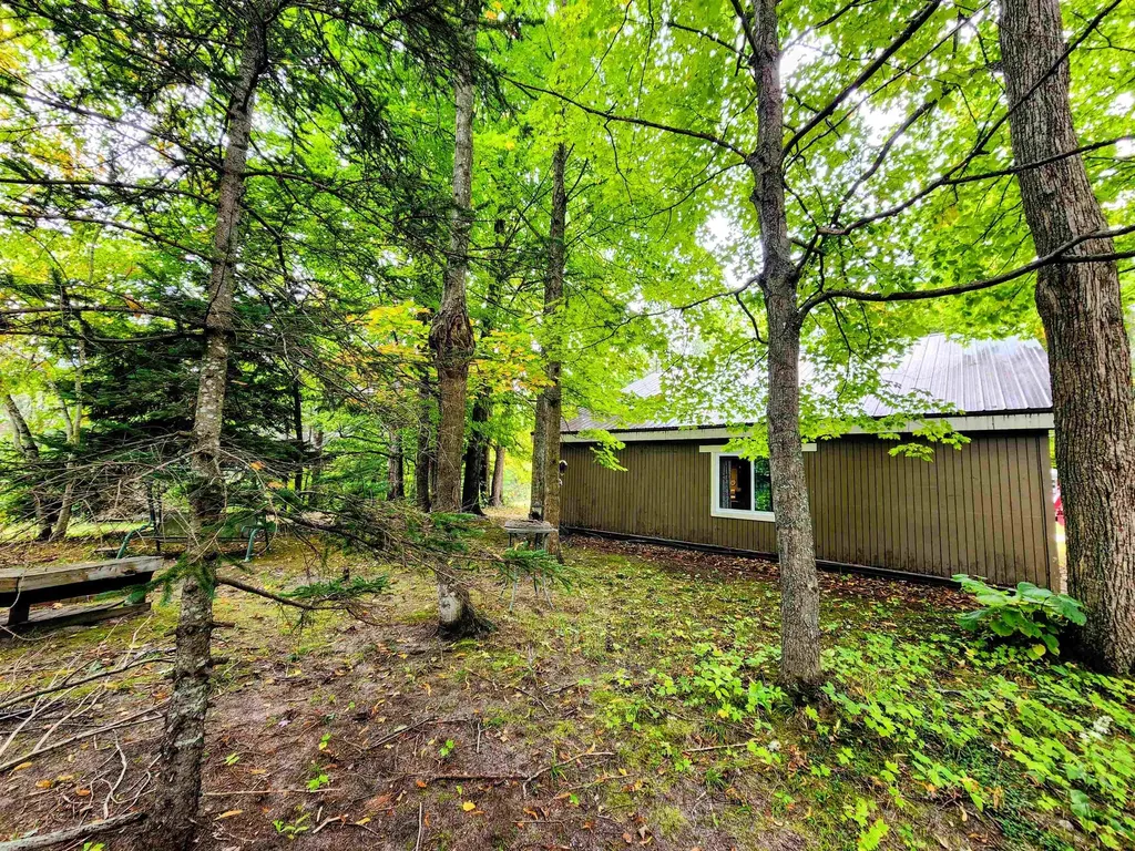 8610 Grassmere Court Mancelona Township MI 49659