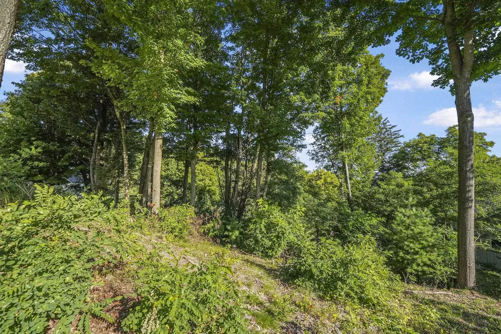 0 Incochee Woods Drive Garfield Charter Township MI 49684