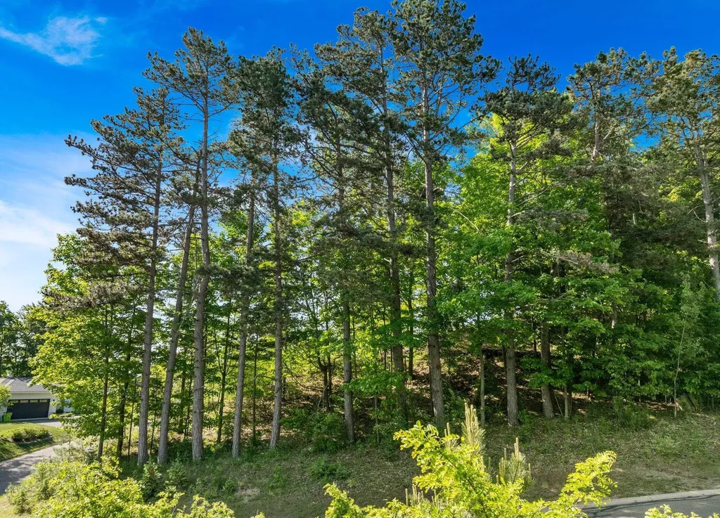 0 Incochee Woods Drive Garfield Charter Township MI 49684