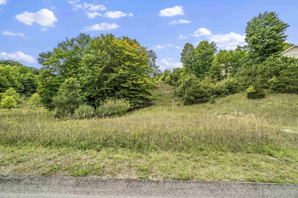 00 Buteo Drive Garfield Charter Township MI 49684
