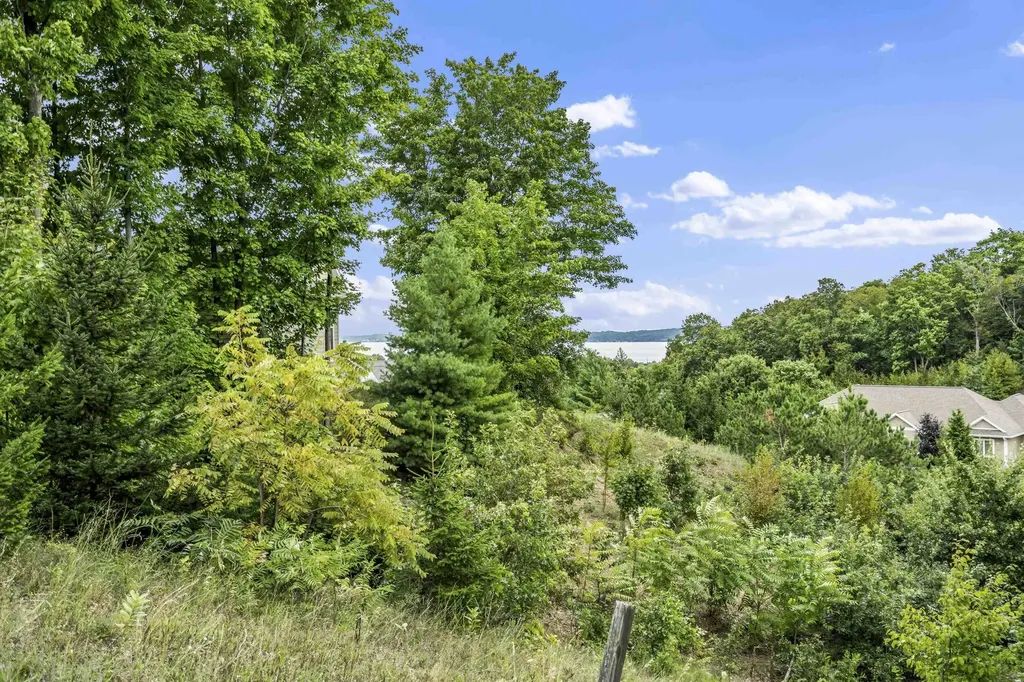00 Buteo Drive Garfield Charter Township MI 49684