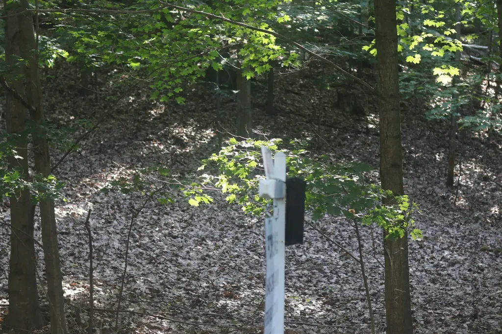 Lot 20 Crystal View Lake Township MI 49617