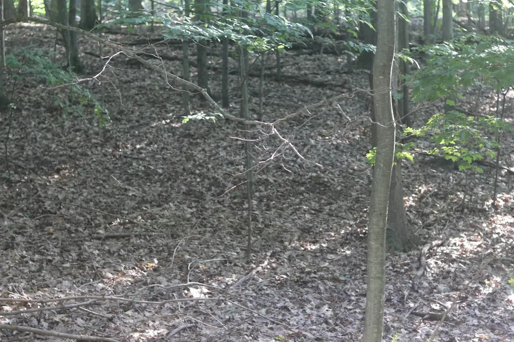 Lot 20 Crystal View Lake Township MI 49617