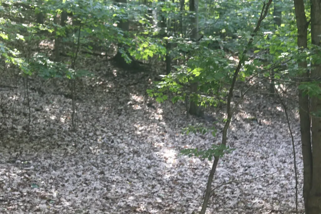 Lot 20 Crystal View Lake Township MI 49617