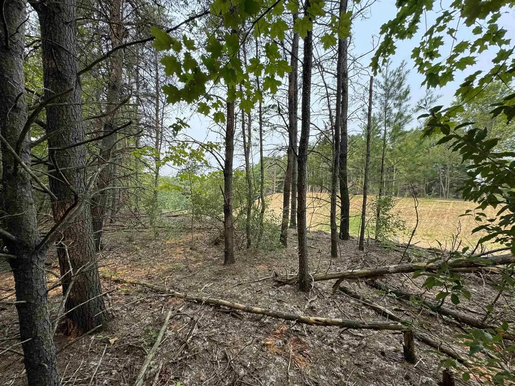 Lot #1 E Bellinger Road Kasson Township MI 49621