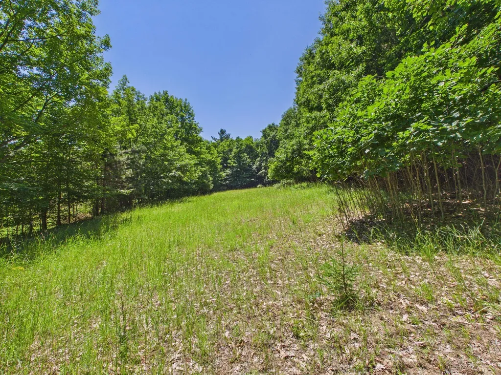 00 S Schomberg Road Leland Township MI 49653