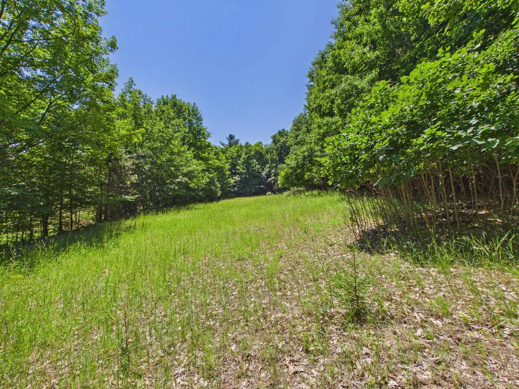 00 S Schomberg Road Leland Township MI 49653
