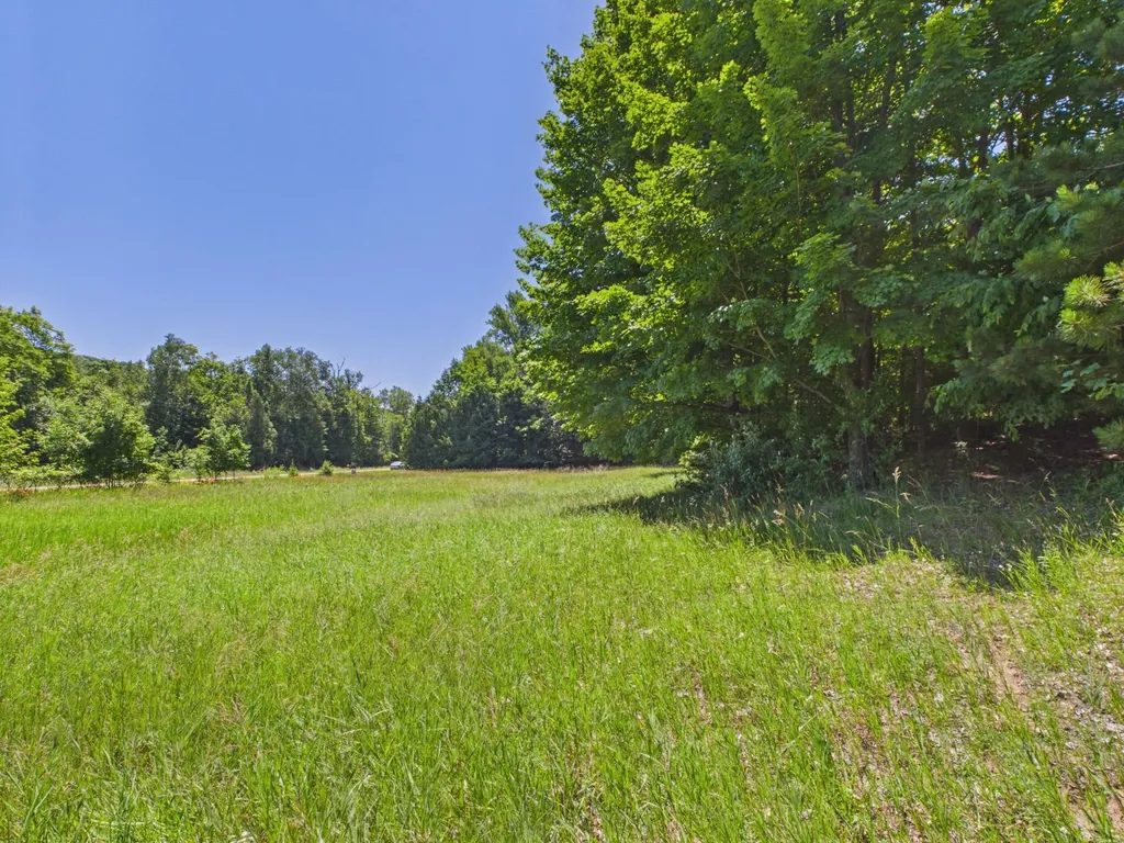 00 S Schomberg Road Leland Township MI 49653