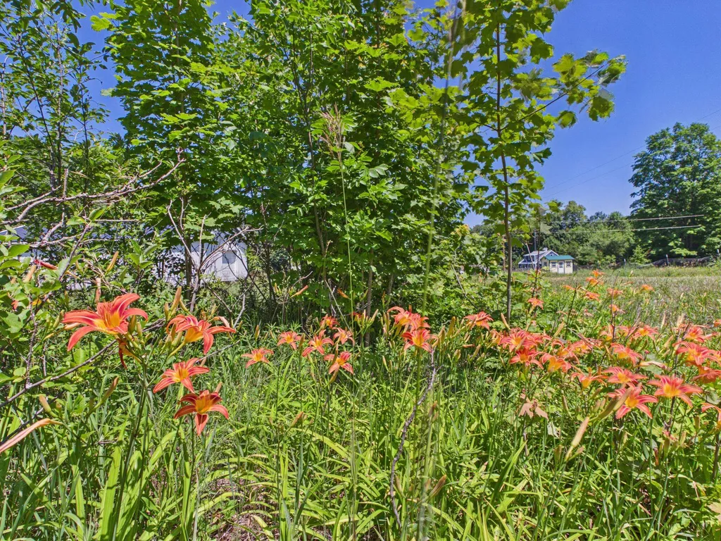 00 S Schomberg Road Leland Township MI 49653