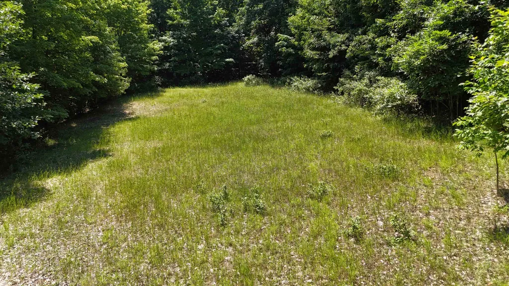 00 S Schomberg Road Leland Township MI 49653