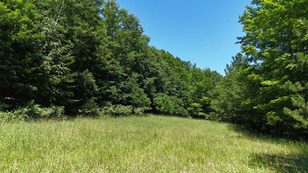 00 S Schomberg Road Leland Township MI 49653