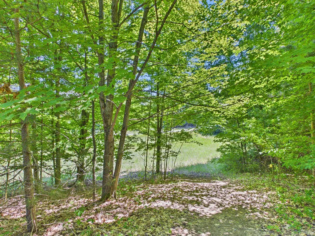 00 S Schomberg Road Leland Township MI 49653