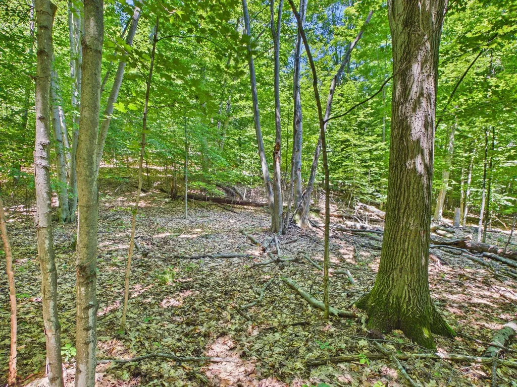 00 S Schomberg Road Leland Township MI 49653
