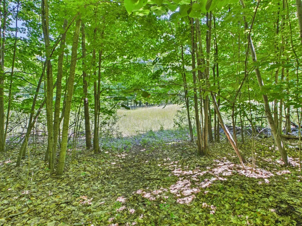 00 S Schomberg Road Leland Township MI 49653