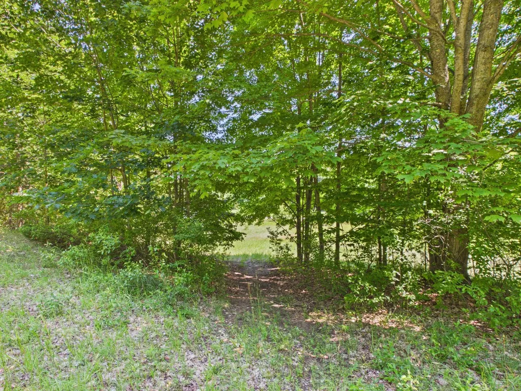 00 S Schomberg Road Leland Township MI 49653