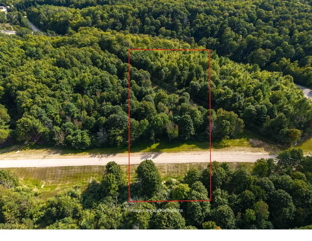 Lot #2 E Bellinger Road Kasson Township MI 49621
