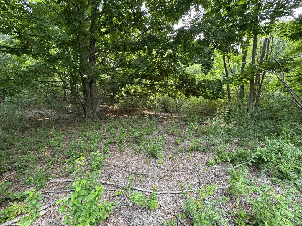 Lot #2 E Bellinger Road Kasson Township MI 49621