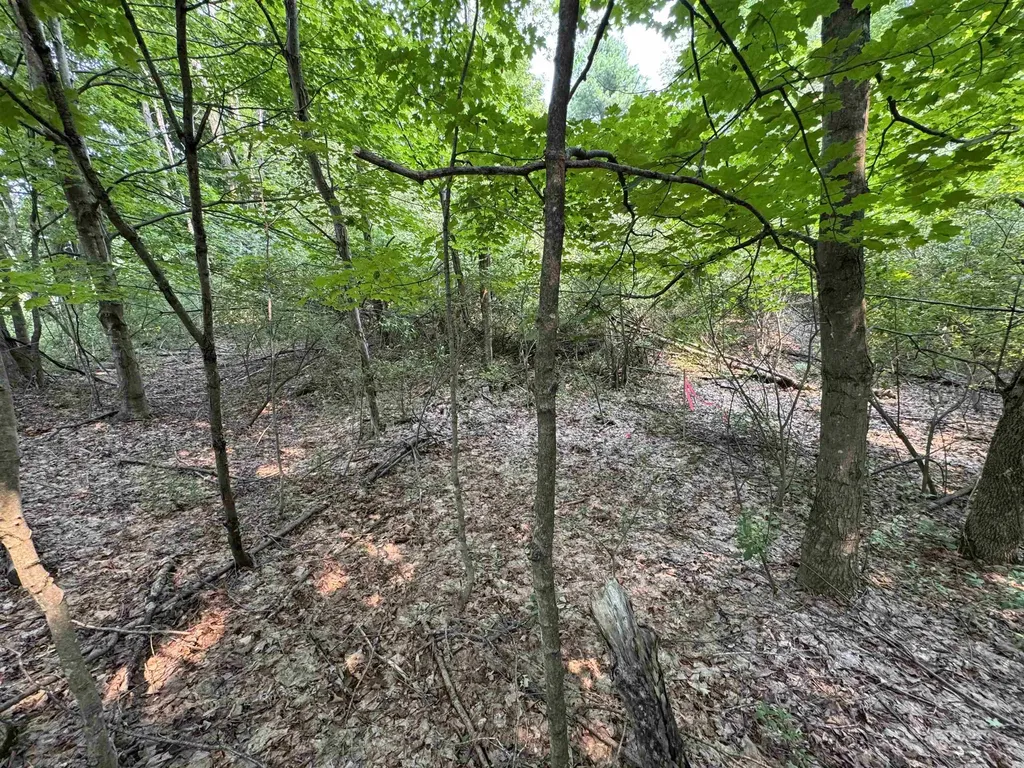 Lot #2 E Bellinger Road Kasson Township MI 49621