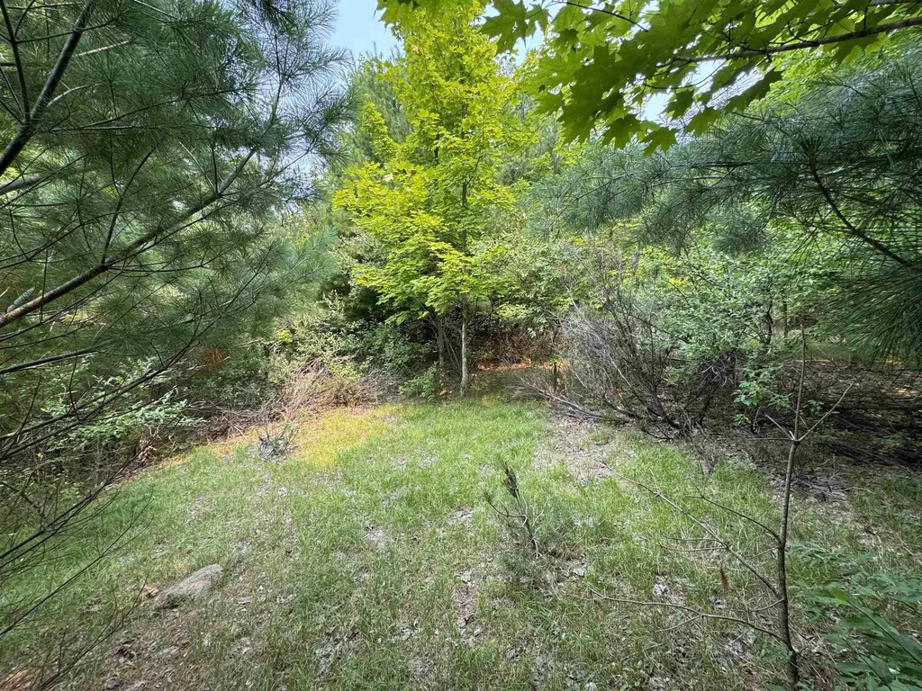 Lot #2 E Bellinger Road Kasson Township MI 49621