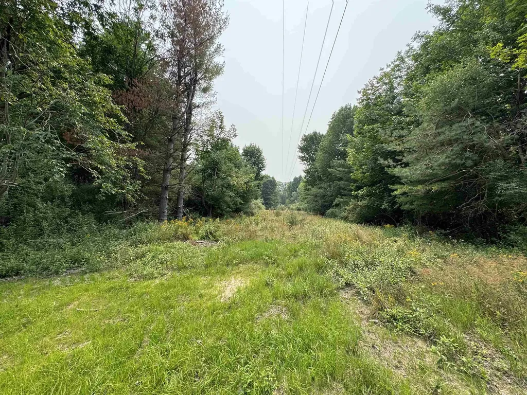 Lot #2 E Bellinger Road Kasson Township MI 49621