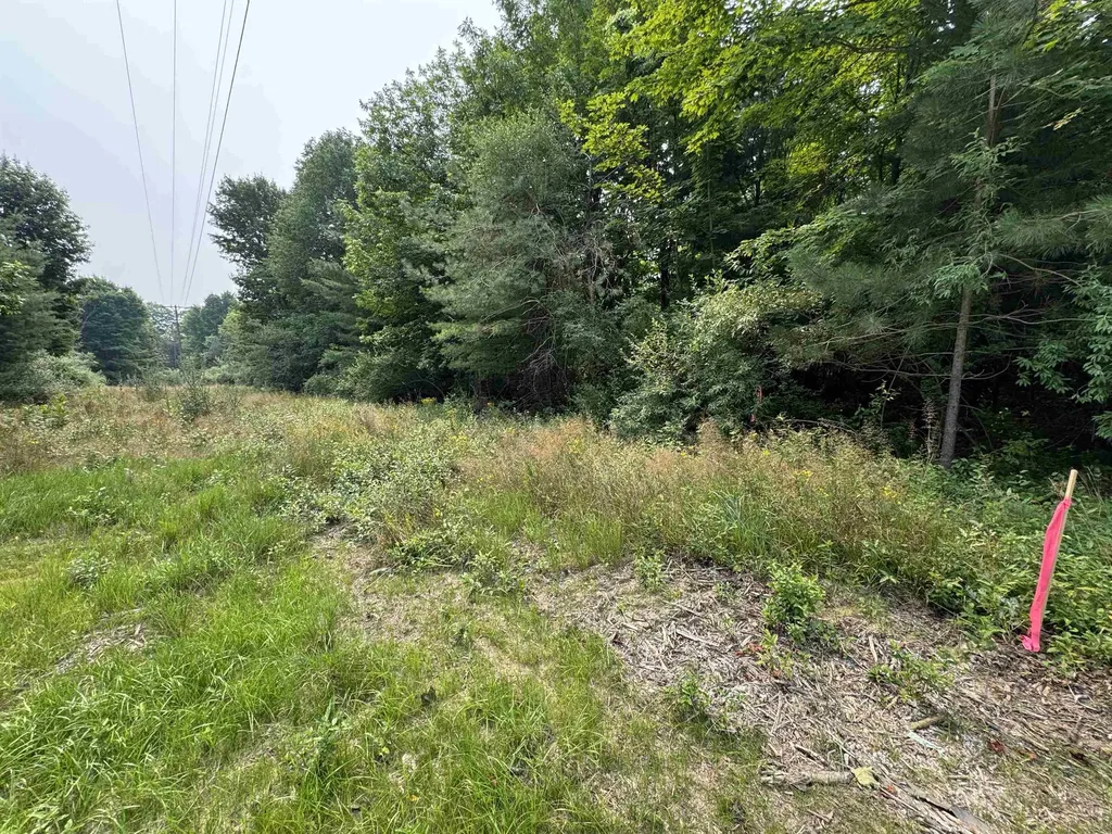 Lot #2 E Bellinger Road Kasson Township MI 49621