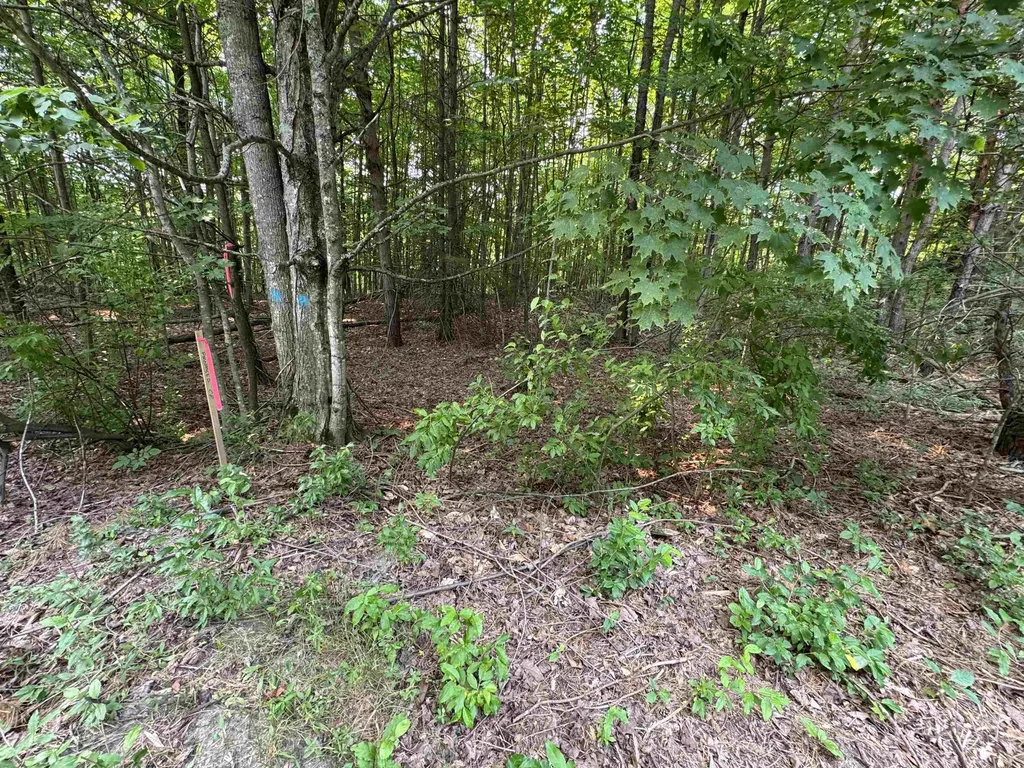 Lot #2 E Bellinger Road Kasson Township MI 49621