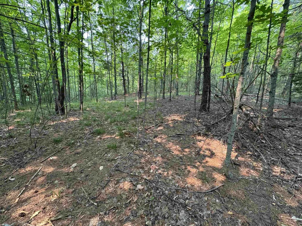 Lot #2 E Bellinger Road Kasson Township MI 49621