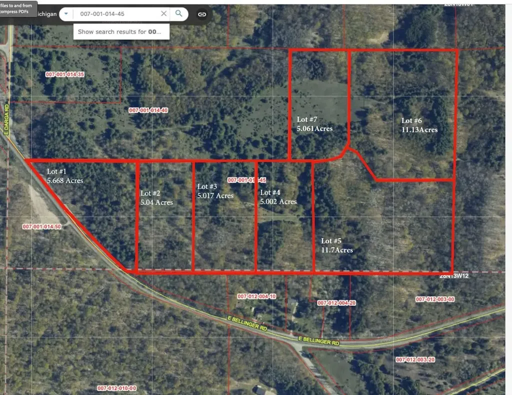 Lot #2 E Bellinger Road Kasson Township MI 49621