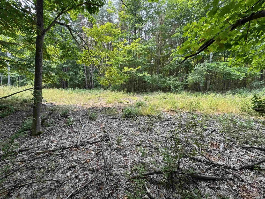 Lot #2 E Bellinger Road Kasson Township MI 49621