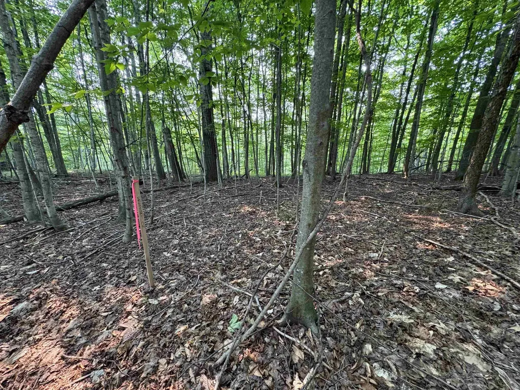 Lot #2 E Bellinger Road Kasson Township MI 49621