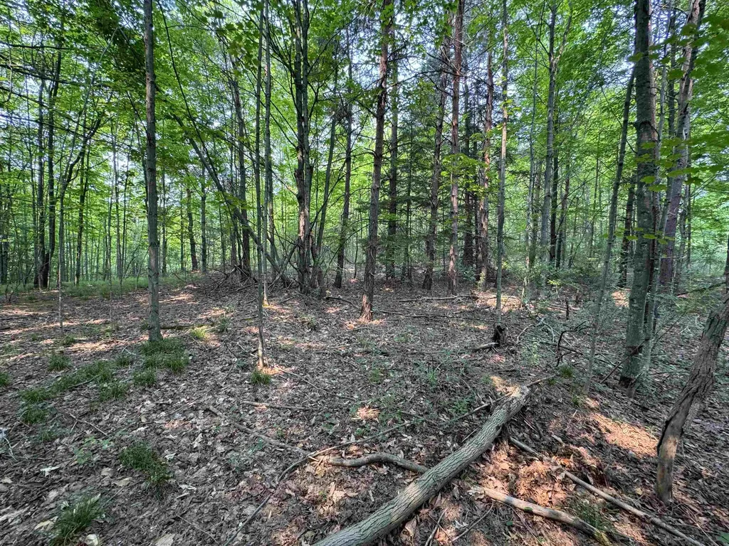 Lot #2 E Bellinger Road Kasson Township MI 49621