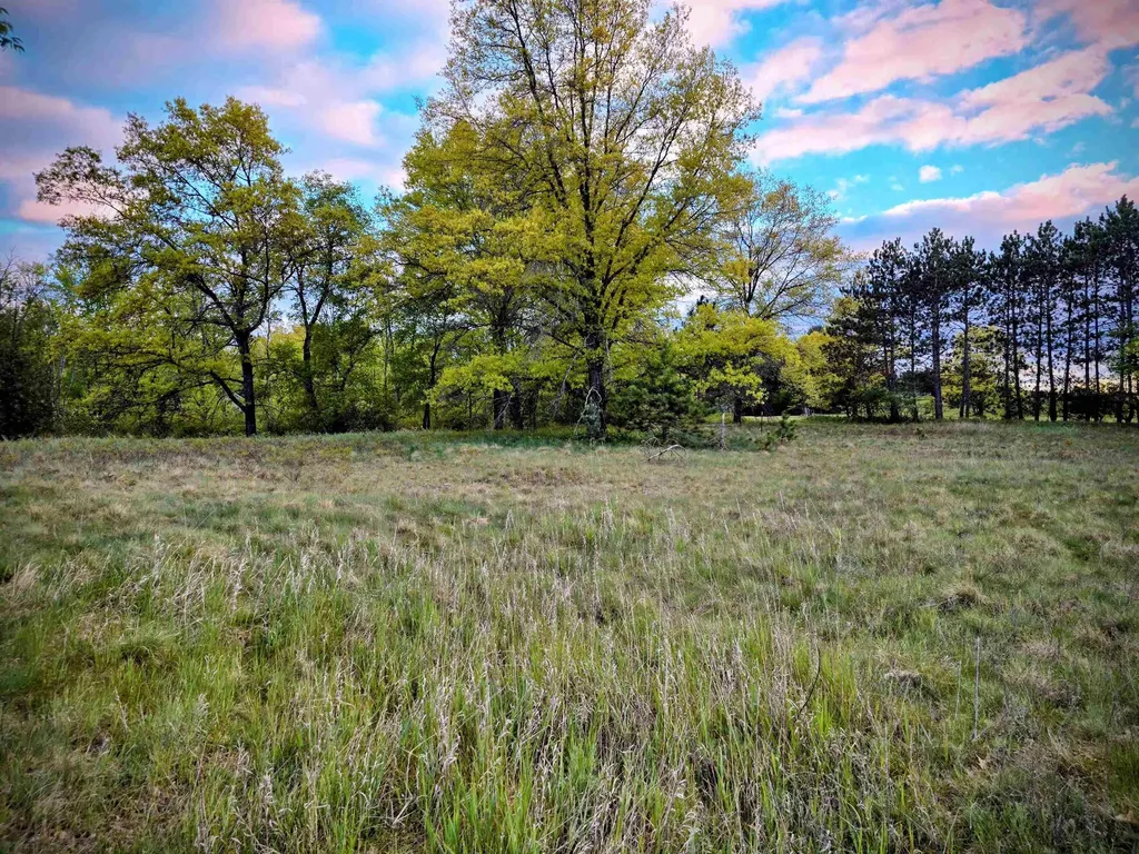 Cedar And 12th Street Evart Township MI 49631