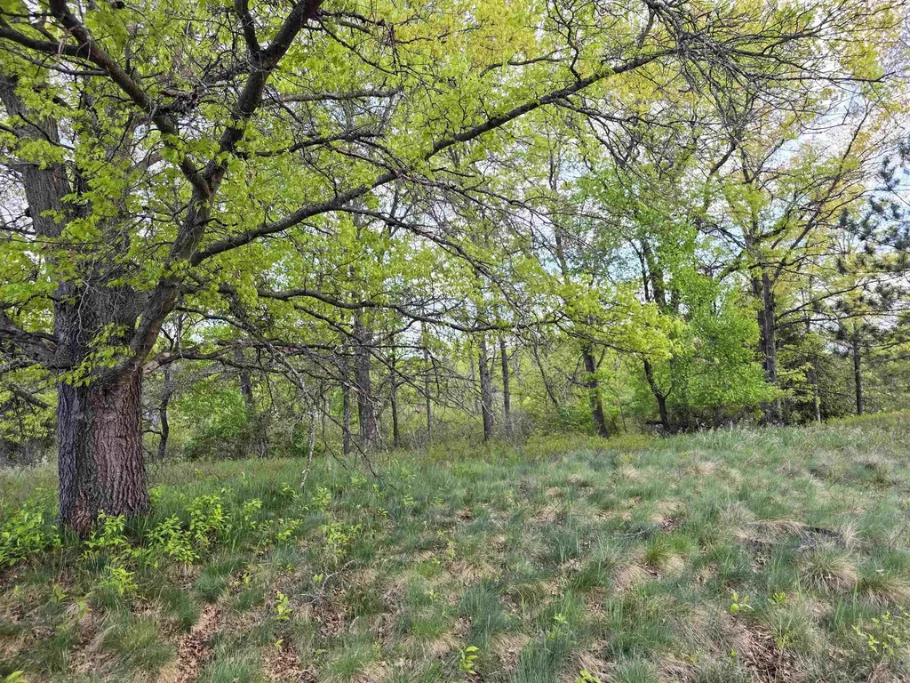Cedar And 12th Street Evart Township MI 49631