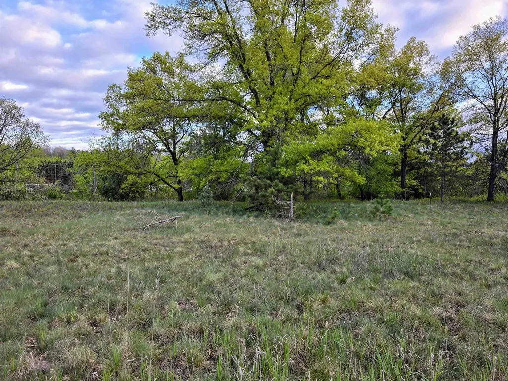Cedar And 12th Street Evart Township MI 49631