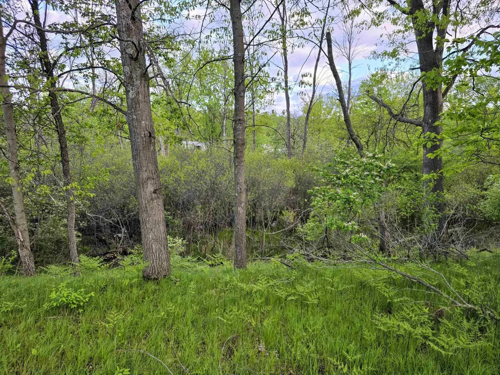 Cedar And 12th Street Evart Township MI 49631