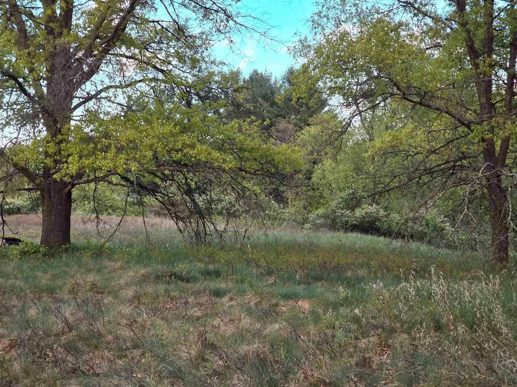 Cedar And 12th Street Evart Township MI 49631