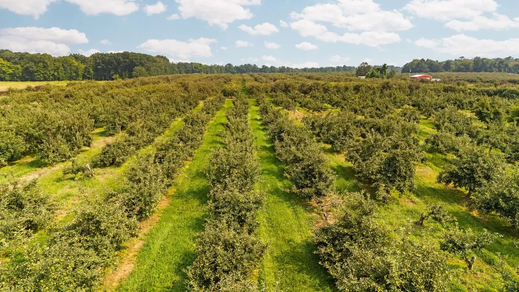 3089 Swaney Road Peninsula Township MI 49686