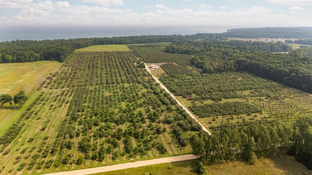 3089 Swaney Road Peninsula Township MI 49686