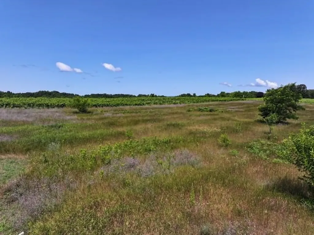 0 Nelson Road Peninsula Township MI 49686