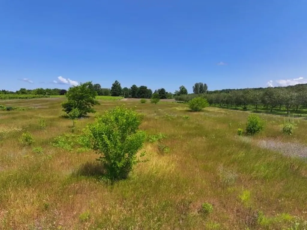 0 Nelson Road Peninsula Township MI 49686