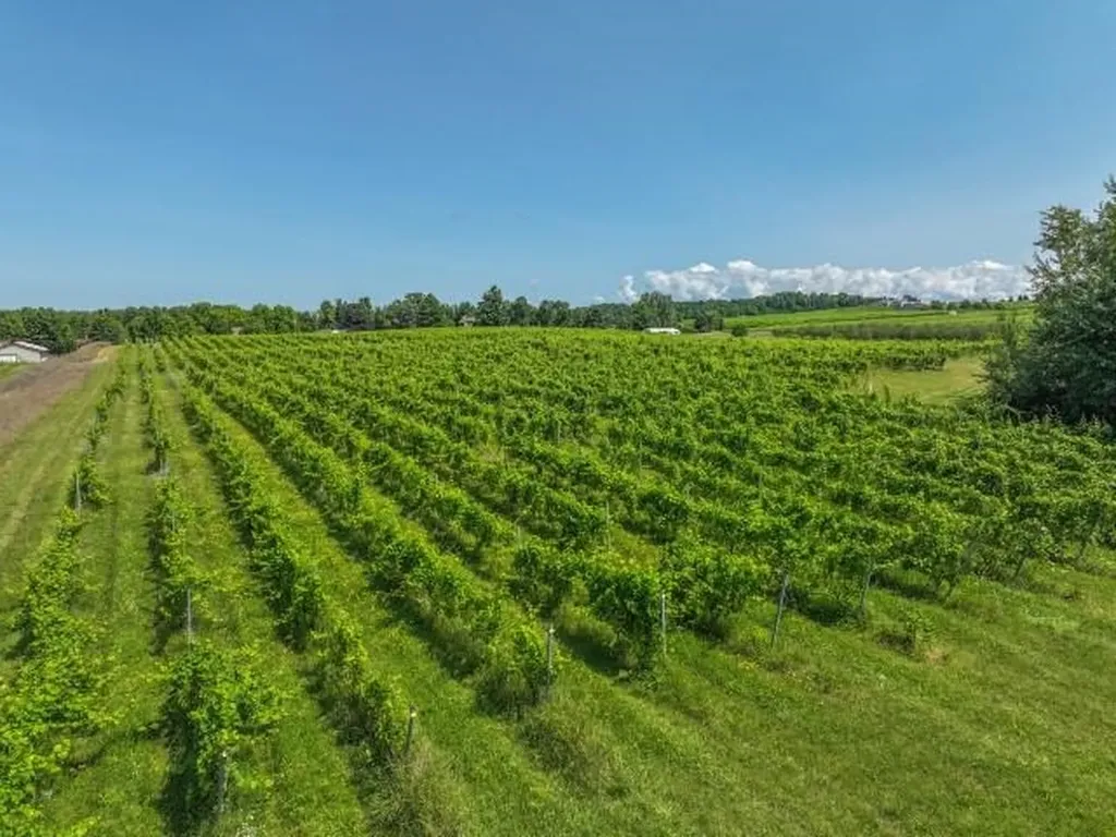 0 Nelson Road Peninsula Township MI 49686