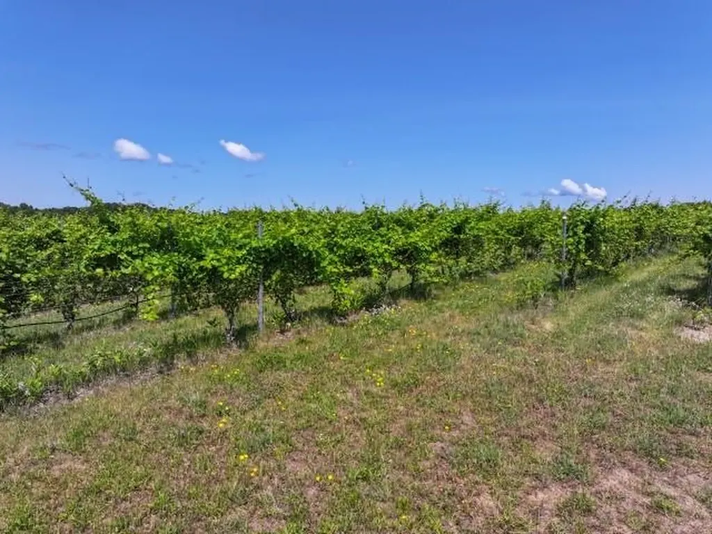0 Nelson Road Peninsula Township MI 49686