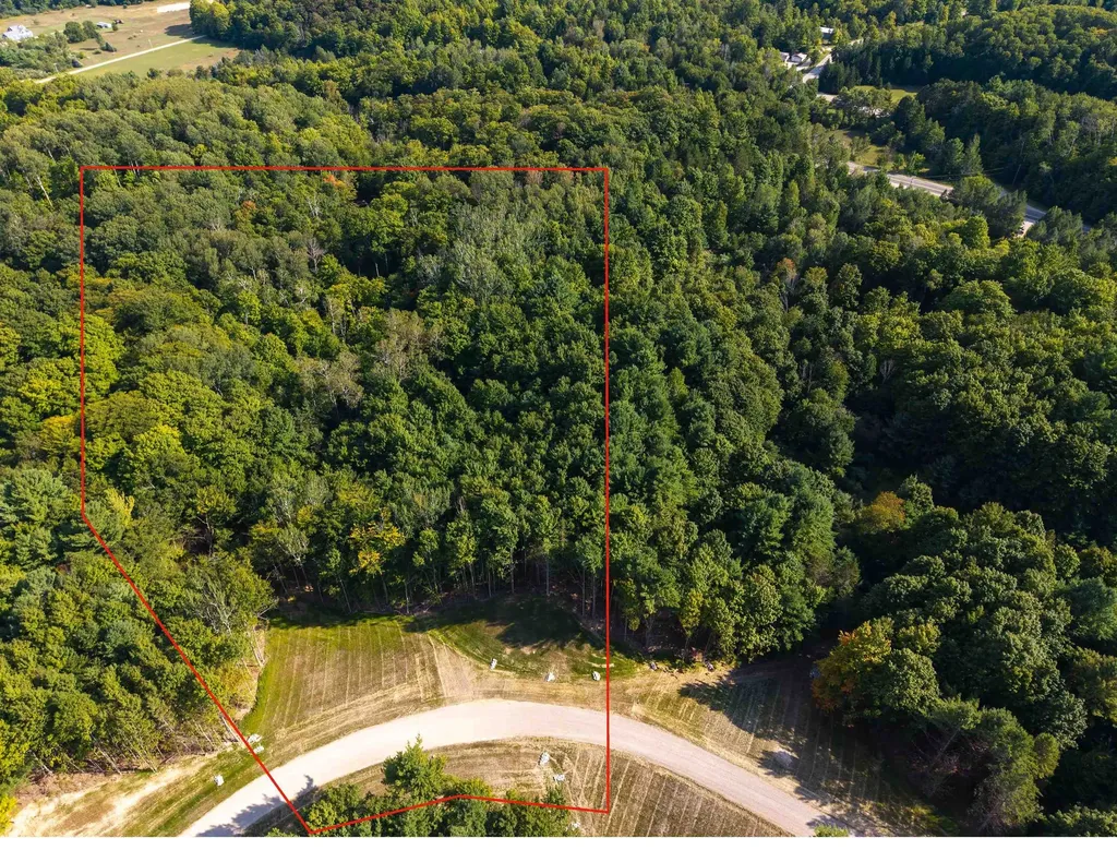 Lot #5 E Bellinger Road Kasson Township MI 49621