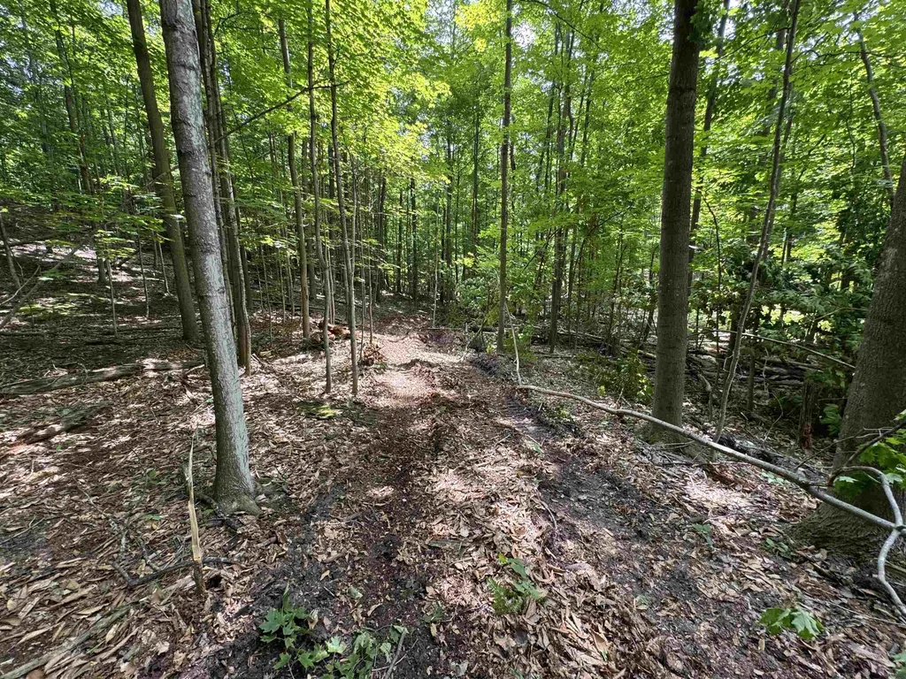 Lot #5 E Bellinger Road Kasson Township MI 49621