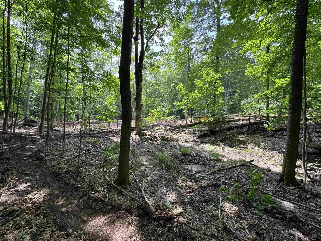 Lot #5 E Bellinger Road Kasson Township MI 49621