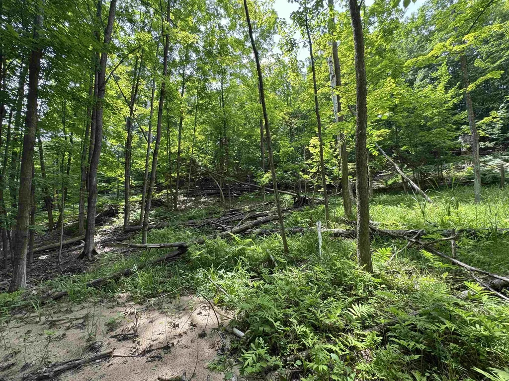 Lot #5 E Bellinger Road Kasson Township MI 49621