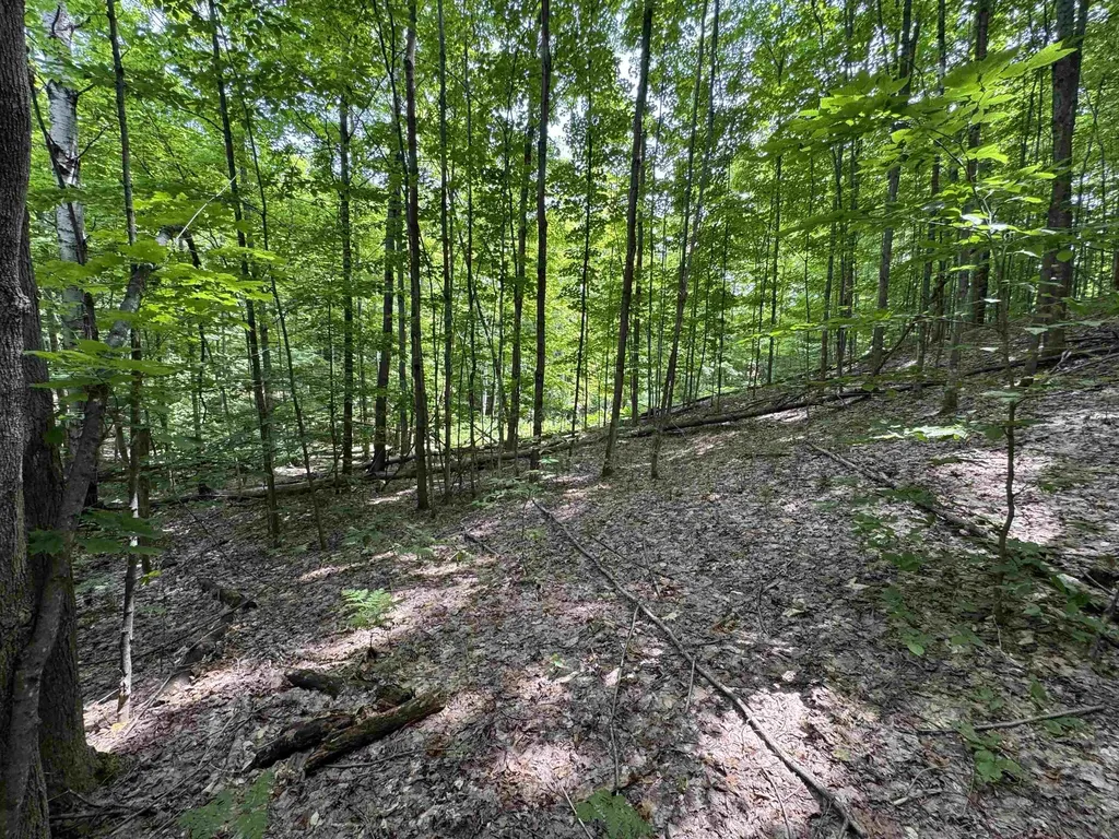 Lot #5 E Bellinger Road Kasson Township MI 49621