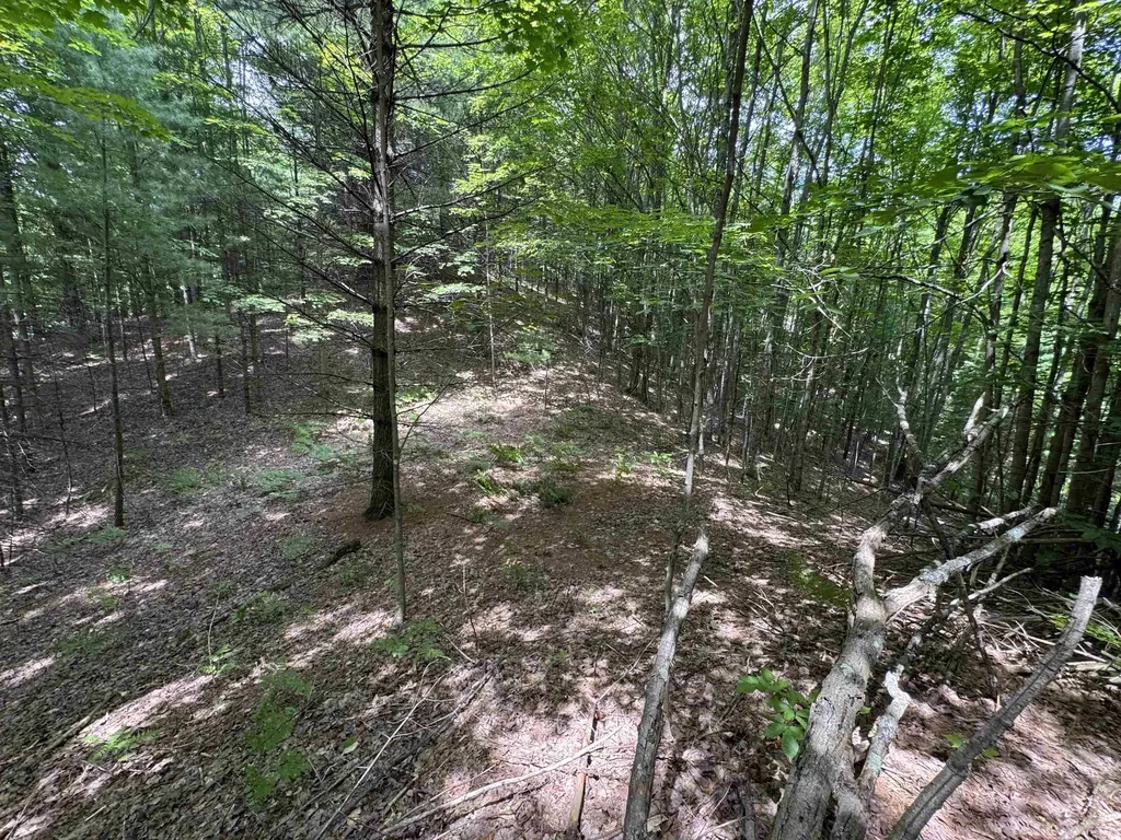 Lot #5 E Bellinger Road Kasson Township MI 49621