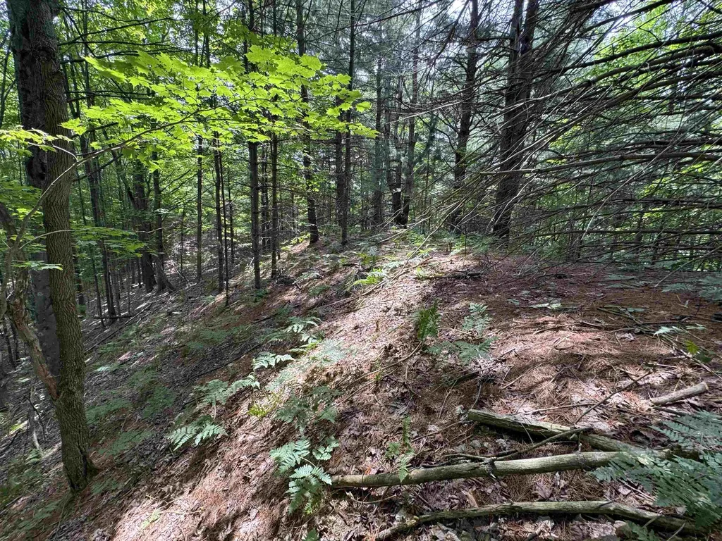 Lot #5 E Bellinger Road Kasson Township MI 49621